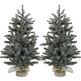 2' Pre-Lit Yardville Pine Artificial Accent Trees with Burlap Base with Multi-Color LED Lights Set of 2