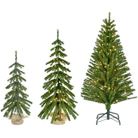 3' , 4' , and 5' Pre-Lit Downswept Farmhouse Fir Christmas Trees with Warm White LED Lights Set of 3