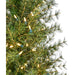 FFFF050-5GR Holiday/Christmas/Christmas Trees