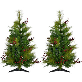 4' Pre-Lit Mixed Pine and Red Berry Accent Trees with Multi-Color LED Lights Set of 2