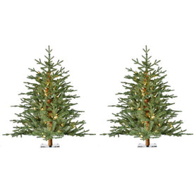 3' Pre-Lit Green Alpine Artificial Accent Trees with Warm White LED Lights Set of 2