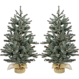 2' Pre-Lit Yardville Pine Artificial Accent Trees with Burlap Base with Warm White LED Lights Set of 2