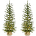 FFFF048-5GR/S2 Holiday/Christmas/Christmas Trees