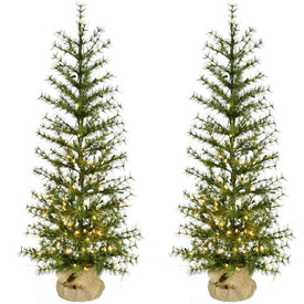 Artificial Tree Set of 2 Farmhouse Fir In Burlap Bag Warm White Lights 4H Feet Green Christmas