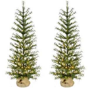 FFFF048-5GR/S2 Holiday/Christmas/Christmas Trees