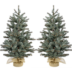 4' Pre-Lit Yardville Pine Artificial Accent Trees with Burlap Base with Warm White LED Lights Set of 2