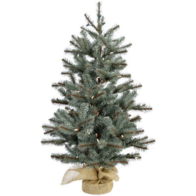 3' Pre-Lit Yardville Pine Artificial Accent Tree with Burlap Base with Warm White LED Lights