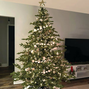 FFFX010-5GR Holiday/Christmas/Christmas Trees