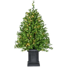 4' Pre-Lit Artificial Boxwood Tree in Black Pot with Warm White LED Lights