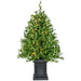 FFBXPT036-5GR1/S2 Holiday/Christmas/Christmas Trees