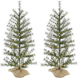 Artificial Tree Set of 2 Farmhouse Fir In Burlap Bag Warm White Lights 3H Feet Green Christmas