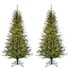 5' Pre-Lit Farmhouse Fir Christmas Tree with Metal Base and Warm White LED Lights Set of 2