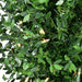 FFBXPT048-5GR Holiday/Christmas/Christmas Wreaths & Garlands & Swags