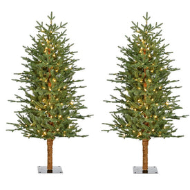 4' Pre-Lit Green Alpine Artificial Accent Trees with Warm White LED Lights Set of 2