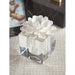 CH-5219 Decor/Candles & Diffusers/Scents & Diffusers