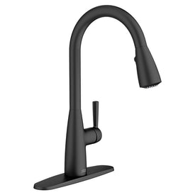 Hillsdale Single-Handle Pull-Down Kitchen Faucet with Dual Spray Head - Matte Black