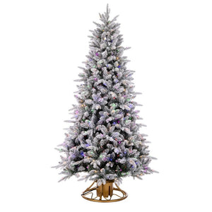 PT190022 Holiday/Christmas/Christmas Stockings & Tree Skirts