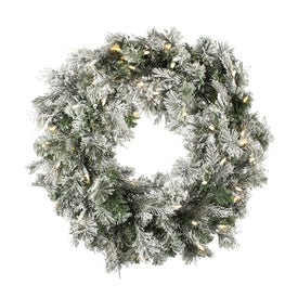 24" Pre-Lit Artificial Flocked Kiana Wreath with 50 Warm White Dura-Lit LED Lights