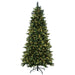 DT211376LED Holiday/Christmas/Christmas Trees