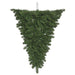 C164464 Holiday/Christmas/Christmas Trees