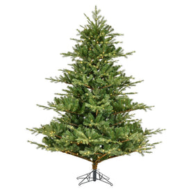 6.5' x 63" Pre-Lit Artificial Sherwood Fir Tree with 1350 Warm White 3MM LED Lights