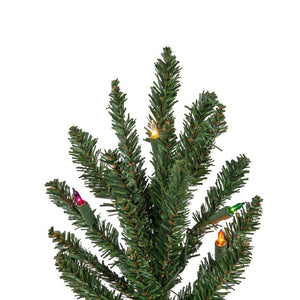 B160438 Holiday/Christmas/Christmas Trees