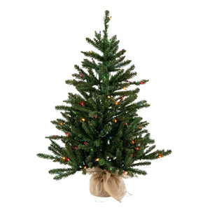 B160438 Holiday/Christmas/Christmas Trees