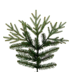 DT213565 Holiday/Christmas/Christmas Trees