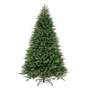 DT213565 Holiday/Christmas/Christmas Trees