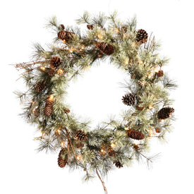 24" Pre-Lit Artificial Dakota Pine Wreath with 35 Clear Dura-Lit Lights