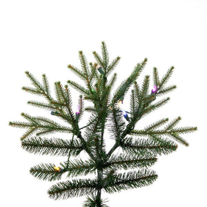 DT213568LEDCC Holiday/Christmas/Christmas Trees