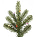 A124457LED Holiday/Christmas/Christmas Trees