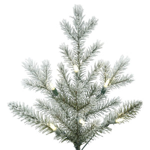G160836LED Holiday/Christmas/Christmas Trees