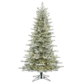 3.5' x 27" Pre-Lit Artificial Frosted Eastern Fraser Fir Tree with 100 Warm White LED Lights