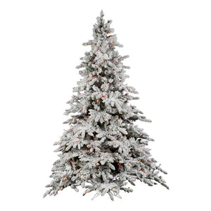 A895177 Holiday/Christmas/Christmas Trees