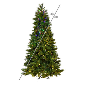 K201266LEDCC Holiday/Christmas/Christmas Trees