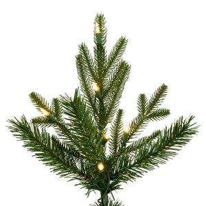 G211676LED Holiday/Christmas/Christmas Trees