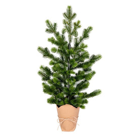 24" x 14" Unlit Artificial Bryson Spruce Tree with 192 Tips