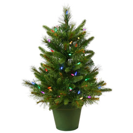 24" x 21" Pre-Lit Artificial Cashmere Pine Tree with 50 Multi-Color Dura-Lit Lights