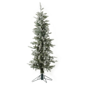 5' x 23" Unlit Artificial Frosted Tannenbaum Pine Tree with 294 Tips