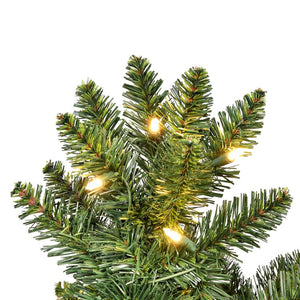 K193181LED Holiday/Christmas/Christmas Trees