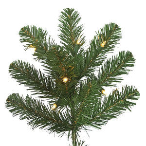 C164166 Holiday/Christmas/Christmas Trees