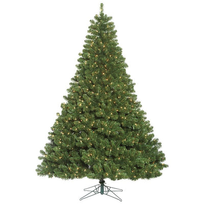 C164166 Holiday/Christmas/Christmas Trees