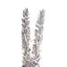 K196351LED Holiday/Christmas/Christmas Trees