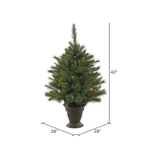 A118537LED Holiday/Christmas/Christmas Trees