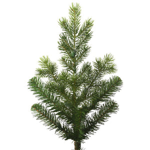 G170330 Holiday/Christmas/Christmas Trees
