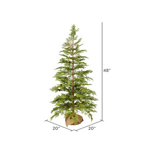 D190240 Holiday/Christmas/Christmas Trees