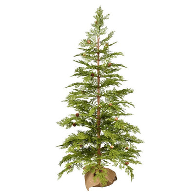 D190240 Holiday/Christmas/Christmas Trees