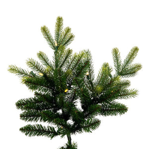 DT214281LED Holiday/Christmas/Christmas Trees
