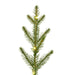 G201641LED Holiday/Christmas/Christmas Trees